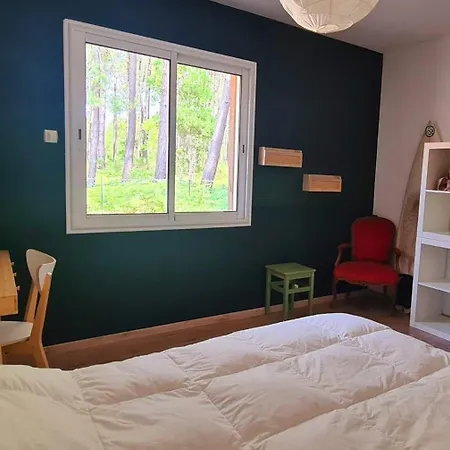 Messangeles Messanges (Landes)