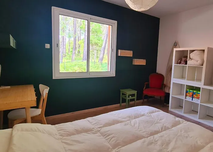 Messangeles Messanges (Landes)